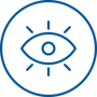 Vision icon